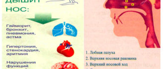 Нос не дышит у ребёнка