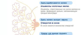 Не проходит грудь при наступлении месячныь
