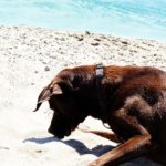 Циркумцизио у мальчиков