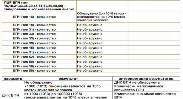 Обнаружили вирус впч 16, может ли быть ошибка в методе пцр