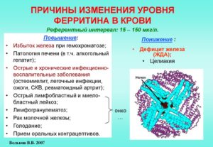 Низкий ферритин, высокий показатель В 12