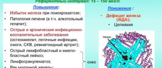 Низкий ферритин, высокий показатель В 12