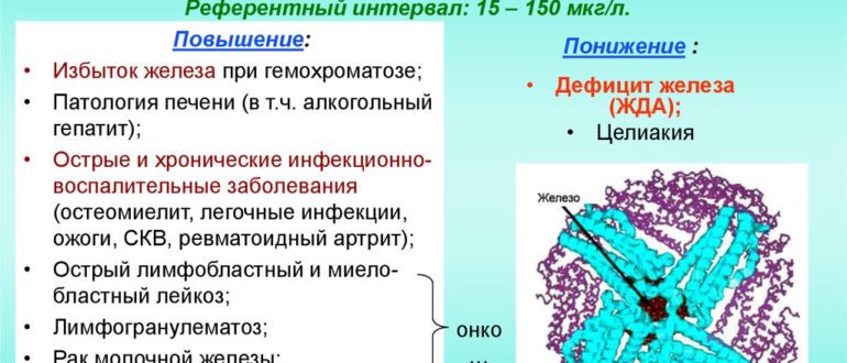 Низкий ферритин, высокий показатель В 12