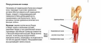 Отрыв сухожилия седалищного бугра