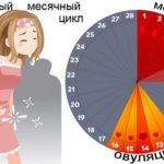 Гормоны щитовидной железы при беременности