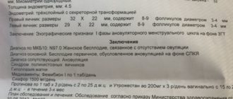 Определение бесплодия по узи