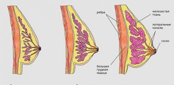 Грудь резко перестала болеть