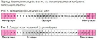 Не могу забеременеть, не регулярные месячные