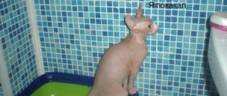 Не получается покакать самому