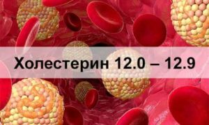 Холестерин 12 единиц