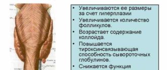 Фокальные изменения в паренхиме щитовидной железы. Гиперплазия паращитовидной железы