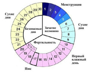 Никак не могу забеременеть на протяжении 8 месяцев