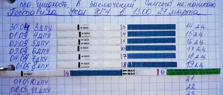 Нет овуляции после ХГЧ