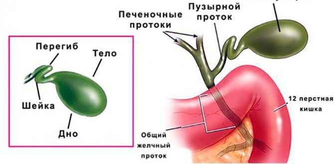 Перегиб желчного пузыря, признаки панкреатита, поверхностный гастрит