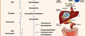 Газообразование, повышенный билирубин