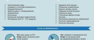 Определение беременности