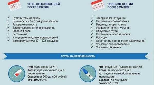 Определение беременности