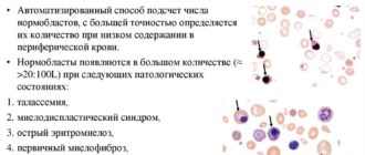 Нормобласты в крови