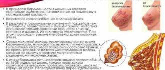 Грудь не уменьшилась после месячных