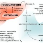 Головокружение, горят ступни, лицо, уши