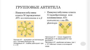 Групповые антитела расшифровка