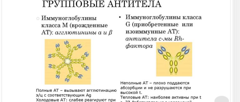 Групповые антитела расшифровка