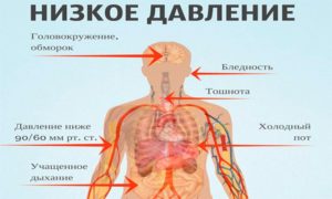 Отец постоянно мерзнет головокружение и очень высокое давление