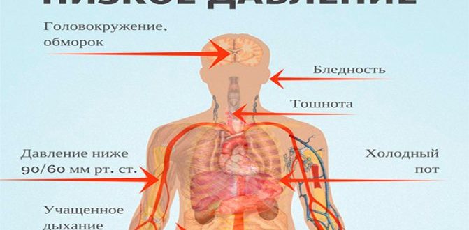 Отец постоянно мерзнет головокружение и очень высокое давление