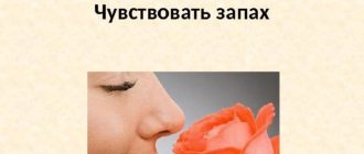 Не чувствую запахов после краски