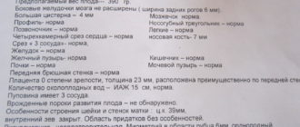 Осмотр сердца плода, расшифровка УЗИ