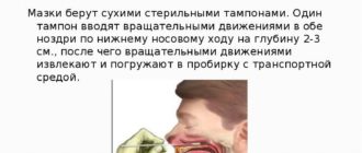 Описание мазка из зева
