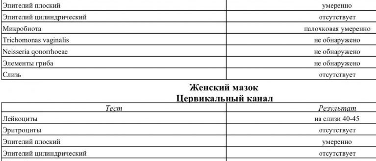 Отсутствуют лейкоциты в мазке