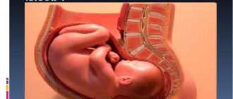 Низкое положение головки в 32-33 недели беременности