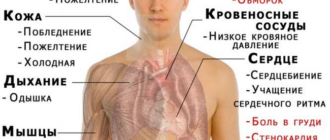 Низкий гемоглобин, слабость, головокружение
