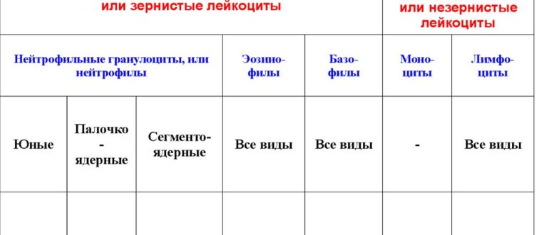 Очень плохой анализ крови (лейкоцитарная формула)