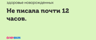 Не писает 12 часов