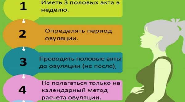 Не получается забеременеть 4 месяца