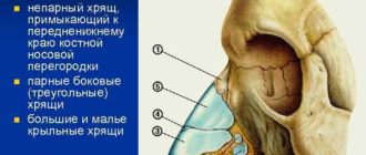 Ноющая боль кости носа