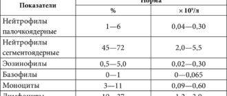 Нейтрофилов больше 6 процентов