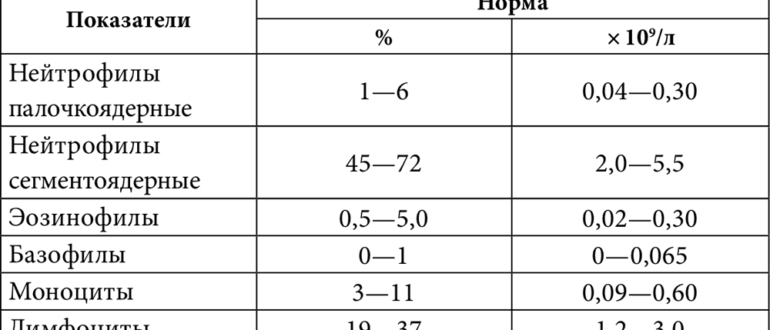 Нейтрофилов больше 6 процентов