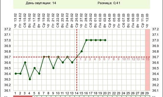 Нужна ли мне поддержка второй фазы цикла при планировании беременности?