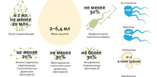 Нормальных сперматозоидов 9%