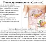 Не проходит шишка на голове после удара