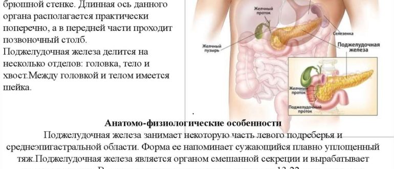 Не переносу панангин болит поджелудочная