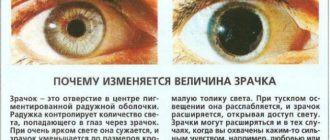Не меняется размер зрачка